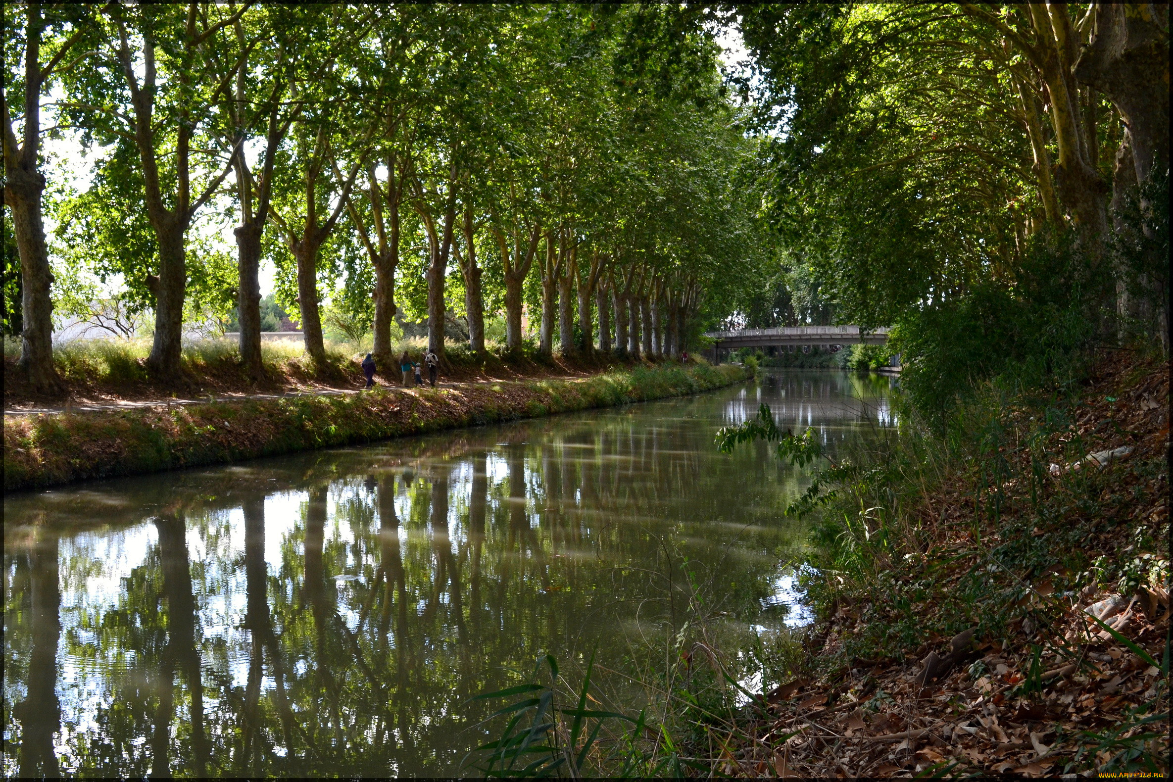 , , canal, du, midi, , , 